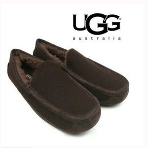Ugg Mens Ascot Wool Slipper size 12